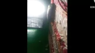 Romantic Ex girlfriend hotel room sex Local stepmom sex romantic sex big boobs Very good sex