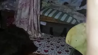 Mag jakol nanaman mamayang gabi para masarap ang tulog