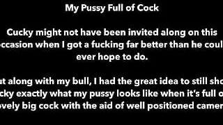 Big Bull Cock Fills My Cunt