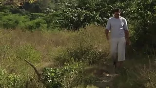 Two Cocks to Take in the Nature