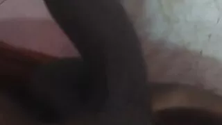 Banging morning wood BBC  need milf