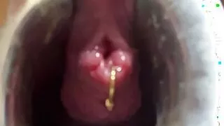 Put a thumbtack in the pussy and stir it with a whisk