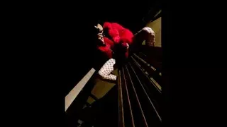 at night in the park