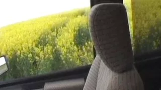 Cute French teen with an amazing body gets to suck a hard dick in POV