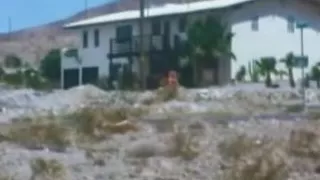 A Great Time For Lovers 1973