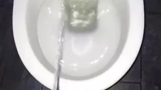 Pee #004