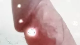 ---latina Shemale Big White Cock Cam!!!