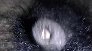 My dick is hungry for pussy