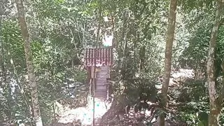 What a Rich Latina Mature with a Big Ass We Fucked Richly and Hard Sex