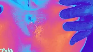 Lala Licious - Black and Purple S