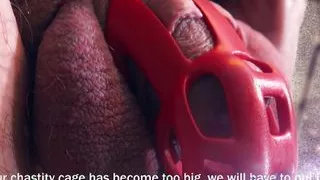 I turn my husband's cock into a clit