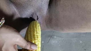 In Desperation For Dick