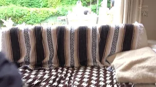 x1x12D58A86977072EF2C【工▢タレス卜使用は「超す●べ」以外は一週間待ってください！】