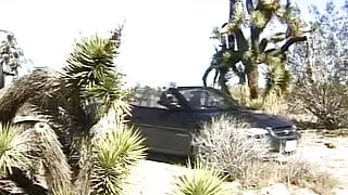 Hot German babe getting smashed hard in her asshole while squrting