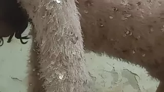 Pune meeting my house real meet mouth fucking ass licking hole fuck without condom Ladyboy cross dresser transgender Gay boy