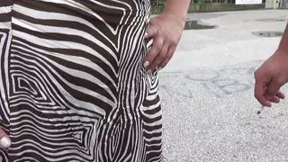 Hairy Claudia, the Forest of Pontedera