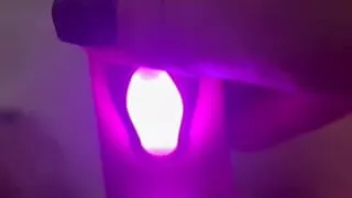 Pussy playing bath times with my faithful companion