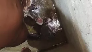 Odisha,, sampo massage penis