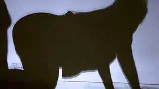 Hot STepmom help me cum handjob, but i uncontrolled my sex then i fuck her Doggystyle - Anal Big Ass