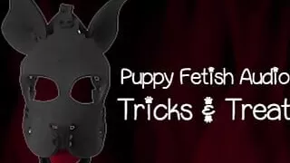 The Puppy Fetish Audio Version