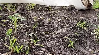 Muddy Foot Tennant - Told to Lick the Dirt Clean