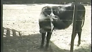 Amazing well shaped blond slut fucked on the back of a truck