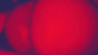 step sister letting me fuck and bus a big load on her ass