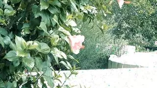 The House Of Dreams Vol.3 - Scene 1