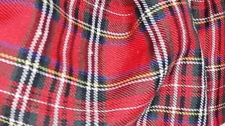 The little schoolgirl does her homework