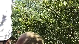 Getting Fucked at the Farm During Lunch Break.