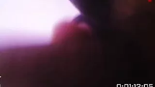 Your doggy wagging the bicho