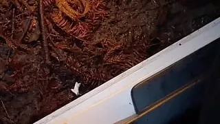 Peeing in woods from car