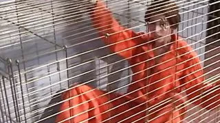 Double Monster Cocks for Hot Nympho