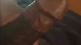 I'm gonna face fuck you.