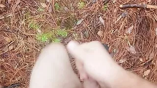 Walking around the park