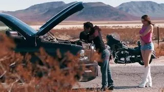 Lust In The Desert TransAngels