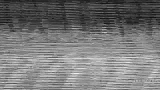 POV Sex mit dunkelhaariger Freundin