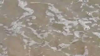 Fucking my bitch on vacation after the beach. ASMR for perverts