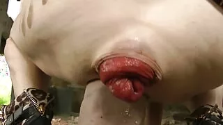 Dirtygardengirl pussy fuck huge dildo from mrhankey & anal prolapse in abandoned factory