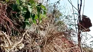 Sunita take my penis in his mouth