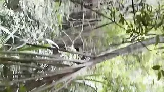 18 Year Old Creampied By Stranger In Rainforest