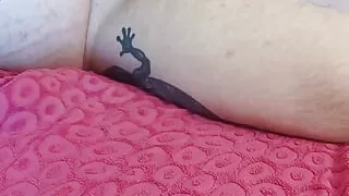 Amateur bear masturbates and cum watching porn