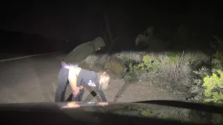 He Pulled Over To Use My Pussy On The Side Of The Road - Mya Lane And Ryland Ryker