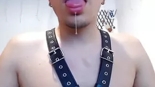 Dinastiagencia video