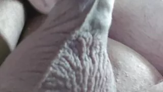 My Cock
