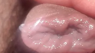 Juicy fruity tiny dick