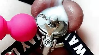 i Love my cages, CUMPILATION