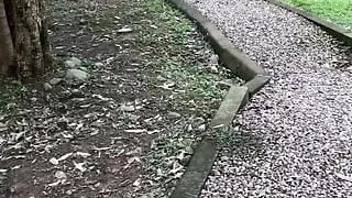 Barefoot Slave Training. Rocky Path and Cigarettes