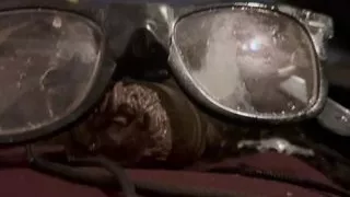 Wayfarer Rayban love.