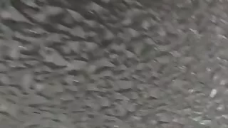 Indian Husband Wife Sex